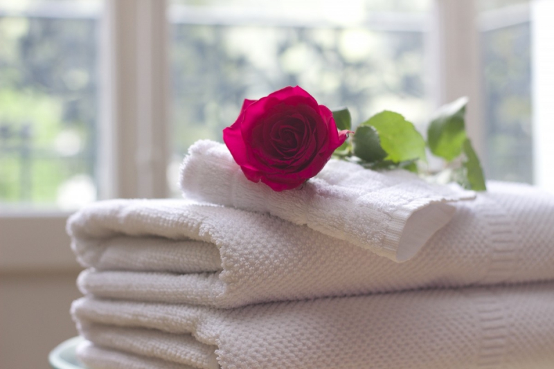 hotel-BERRE LES ALPES-min_towel_rose_clean_care_salon_spa_white_bath-731641